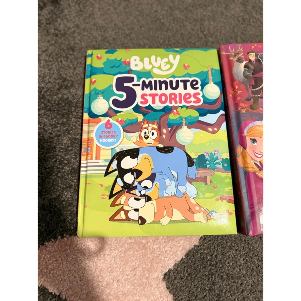 Disney & Bluey Kids Book Bundle – Frozen, Princess & Bluey (Like New)
